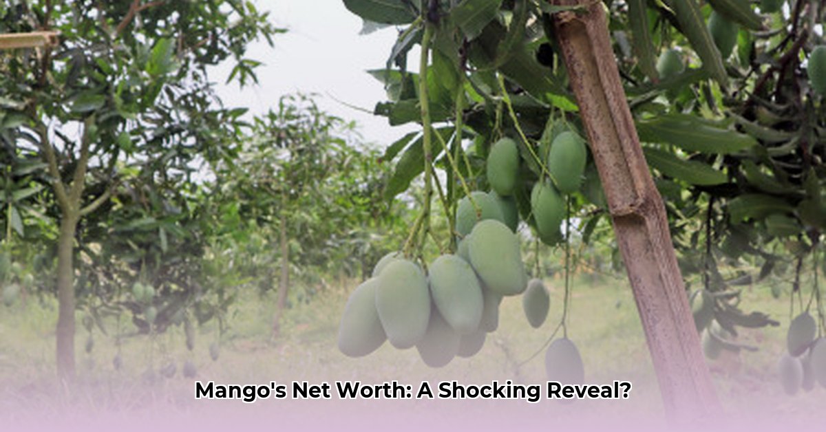 mango-95-net-worth